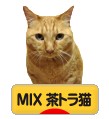 にほんブログ村 猫ブログ MIX茶トラ猫へ