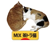 にほんブログ村 猫ブログ MIX茶トラ猫へ