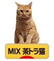 にほんブログ村 猫ブログ MIX茶トラ猫へ