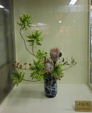 仙台駅の花