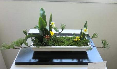 みんなの花展　Ｃさん
