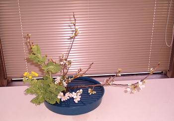 関邦明先生展示花