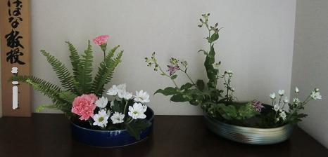 〇専研究会の花