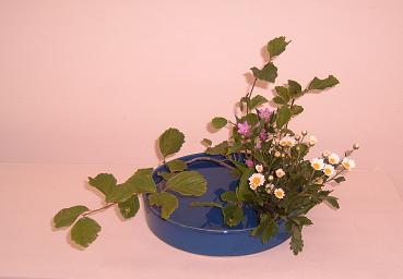 1級～○専　見本花