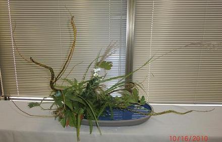 川上裕之先生展示花