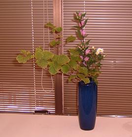 金森先生展示花