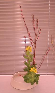 関 邦明先生展示花