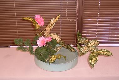 金森先生展示花