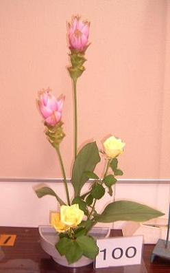 DSCF0013.JPG