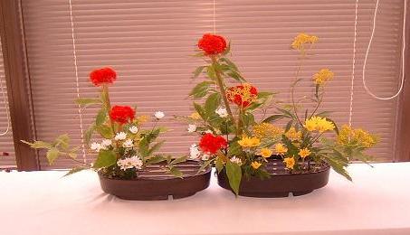 9月研究会見本花