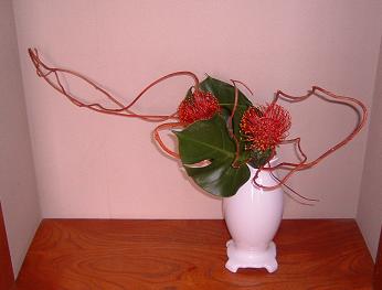 紅づるの自由花