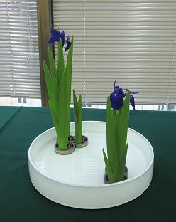 5月講習会「燕子花・春」