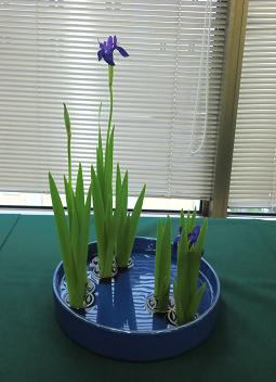 5月講習会「燕子花・初夏」