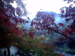 香嵐渓朝もやの紅葉