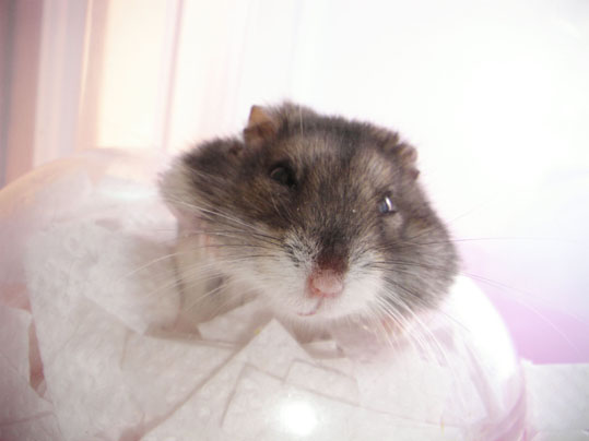 08020307.jpg