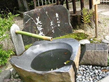 yasaka3.jpg