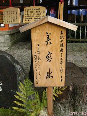 yasaka4.jpg