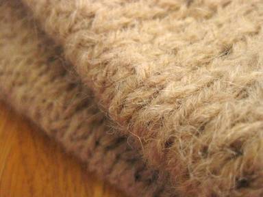 alpaca01.jpg