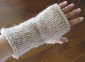 alpaca04.jpg