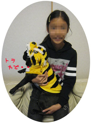 抱っこされるトラ.jpg