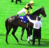 エンジョイ競馬