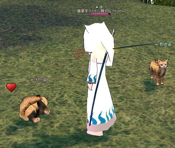 だらしないねこ