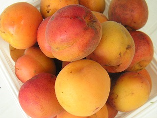 P6150003.jpg