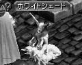 img5d3cbdf1zik0zj.jpg