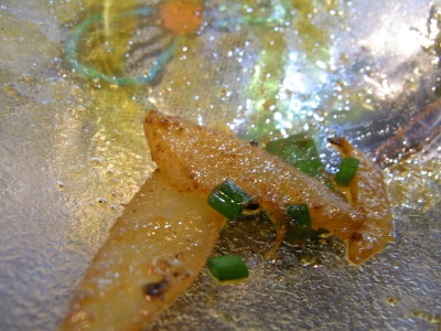 20101013カトマツォエラ残り皿.jpg
