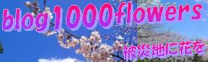 blog1000flowersバナー