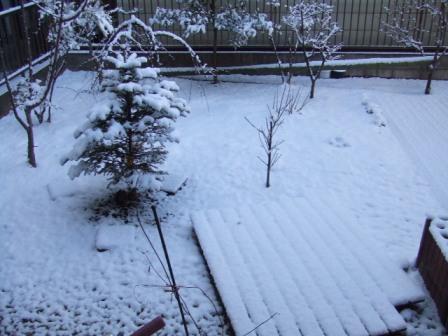 ２・７雪