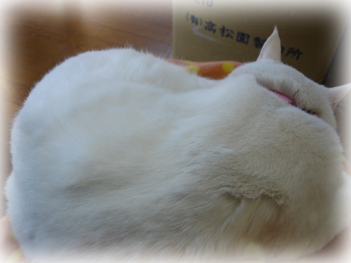 らんたろう