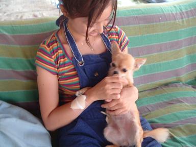 2003_0101画像0002.JPG