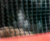 2011-12-16 11:48:43