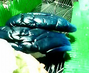 2012-01-20 08:41:29