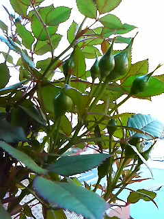 2011-04-29 18:20:28