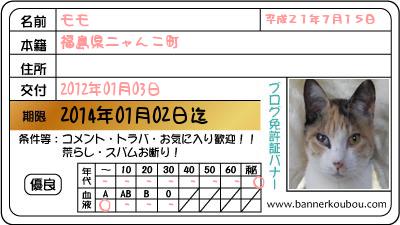モモ免許証１.jpg