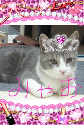 みゃお３.jpg