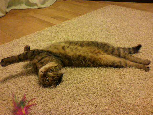 イナバウアー？