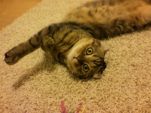 カメラ目線で・・・