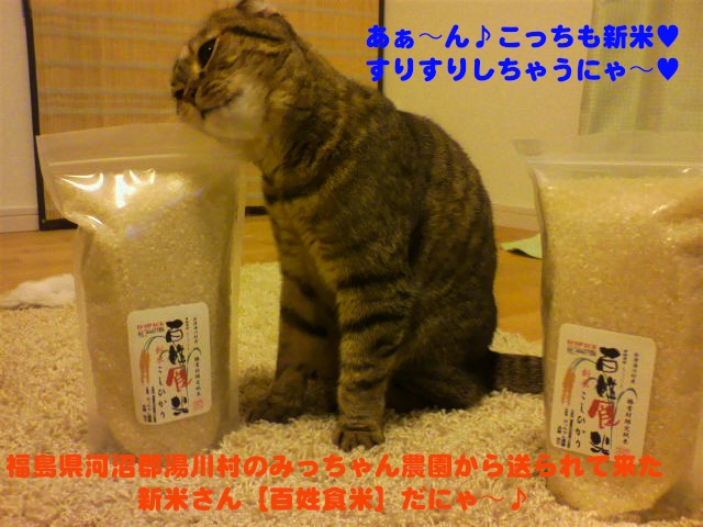 ２０１０年【百姓食米】の新米が届いたよ～