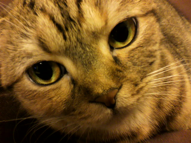 何見てんだよ！