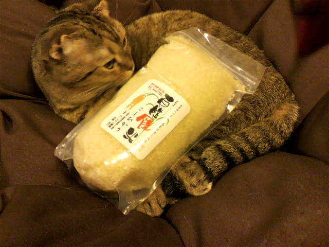 毬藻と百姓食米２