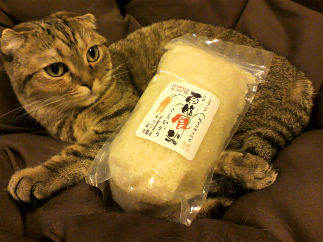 我が家の愛猫：毬藻と百姓食米