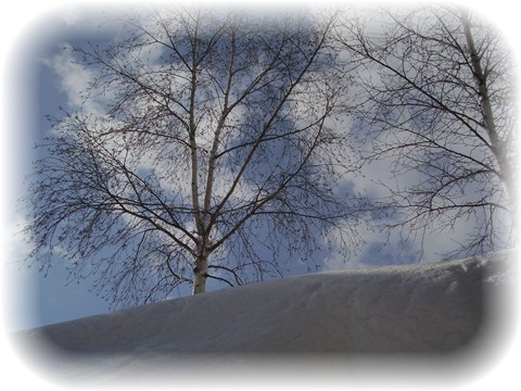 yuki-k