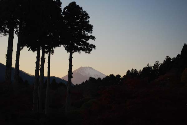 庭から見た富士山.jpg