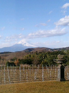 富士山