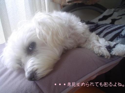 2007-09-24 10:09:11