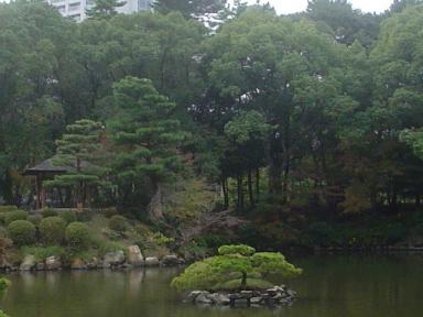 紅葉.JPG
