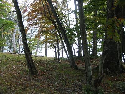 イタリア博物館庭